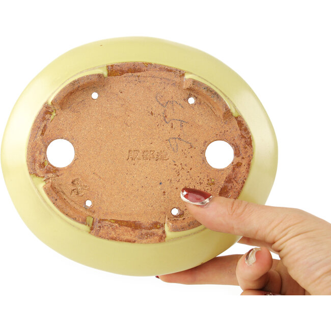 Pot à bonsaï ovale jaune de Hattori - 160 x 140 x 57 mm