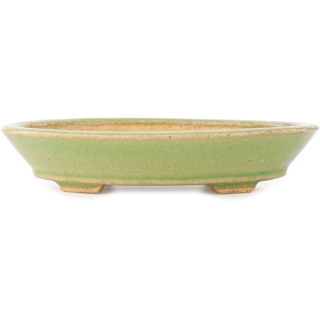 Pot à bonsaï ovale vert de Hattori - 167 x 130 x 38 mm