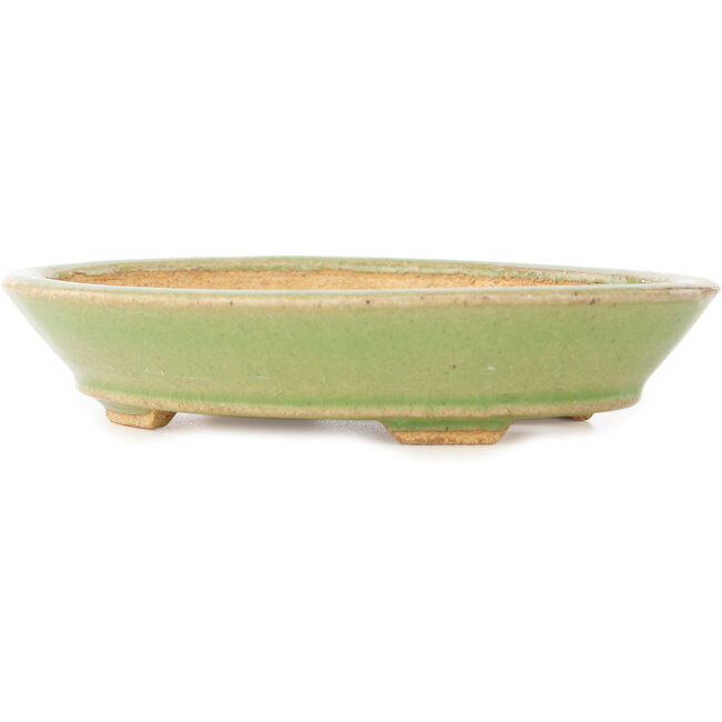 Oval green bonsai pot by Hattori - 167 x 130 x 38 mm