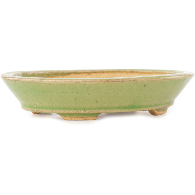 Maceta ovalada verde para bonsái de Hattori - 167 x 130 x 38 mm