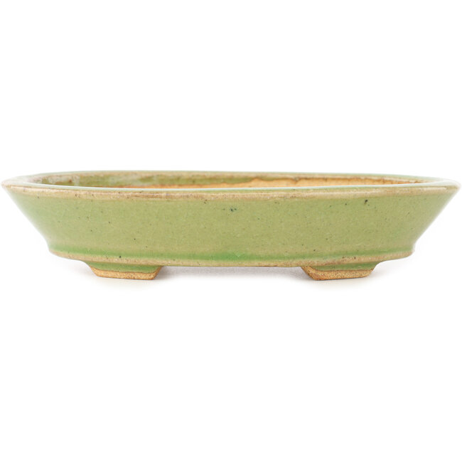 Pot à bonsaï ovale vert de Hattori - 167 x 130 x 38 mm