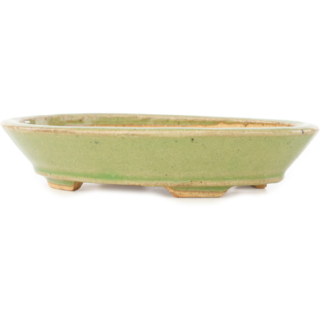 Ovale groene bonsai pot van Hattori - 167 x 130 x 38 mm