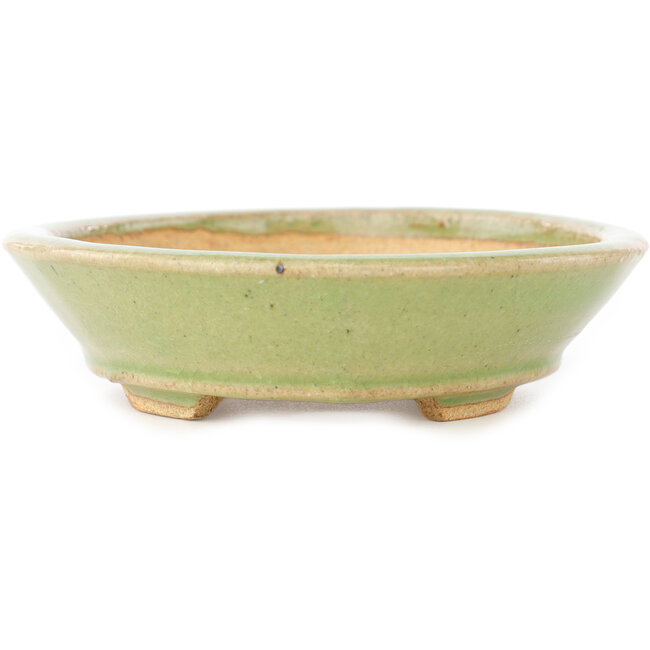 Vaso bonsai ovale verde di Hattori - 167 x 130 x 38 mm