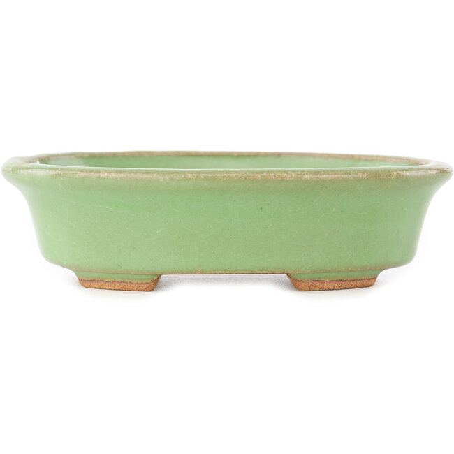 Pot à bonsaï ovale vert de Hattori - 131 x 105 x 34 mm