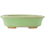 Pot à bonsaï ovale vert de Hattori - 131 x 105 x 34 mm