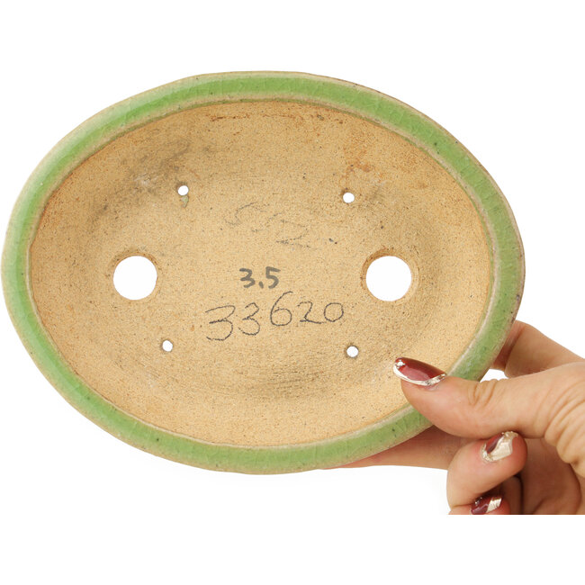 Vaso bonsai ovale verde di Hattori - 167 x 130 x 38 mm