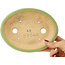 Pot à bonsaï ovale vert de Hattori - 167 x 130 x 38 mm
