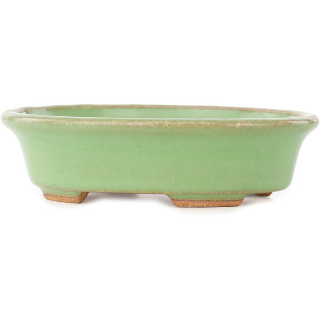 Oval green bonsai pot by Hattori - 131 x 105 x 34 mm