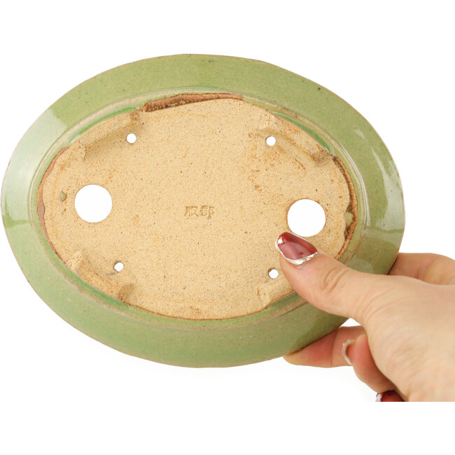 Maceta ovalada verde para bonsái de Hattori - 167 x 130 x 38 mm