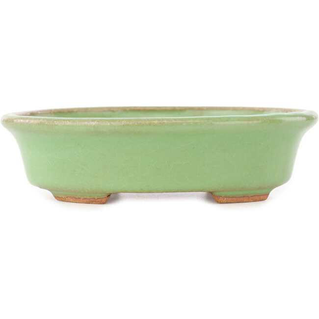 Pot à bonsaï ovale vert de Hattori - 131 x 105 x 34 mm