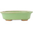 Pot à bonsaï ovale vert de Hattori - 131 x 105 x 34 mm
