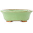 Pot à bonsaï ovale vert de Hattori - 131 x 105 x 34 mm