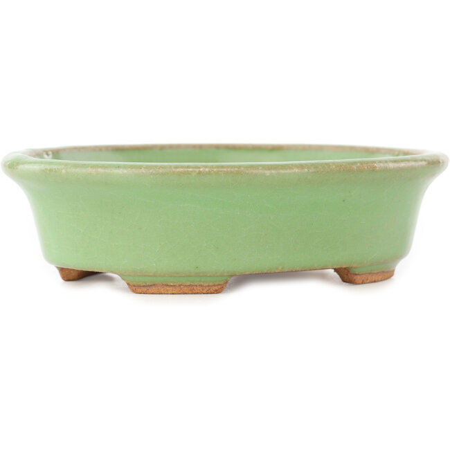 Oval green bonsai pot by Hattori - 131 x 105 x 34 mm