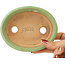 Pot à bonsaï ovale vert de Hattori - 131 x 105 x 34 mm