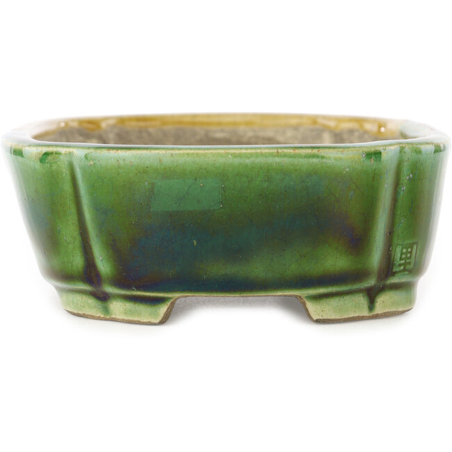 Ovale groen en gele bonsaipot van Terahata Satomi Mazan - 162 x 122 x 47 mm