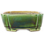 Pot à bonsaï ovale vert et jaune par Terahata Satomi Mazan - 162 x 122 x 47 mm