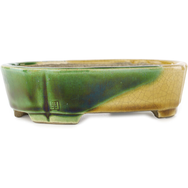 Maceta ovalada para bonsái verde y amarillo de Terahata Satomi Mazan - 162 x 122 x 47 mm