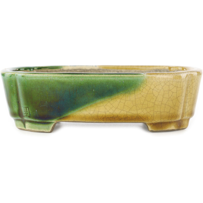 Ovale groen en gele bonsaipot van Terahata Satomi Mazan - 162 x 122 x 47 mm