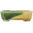 Pot à bonsaï ovale vert et jaune par Terahata Satomi Mazan - 162 x 122 x 47 mm