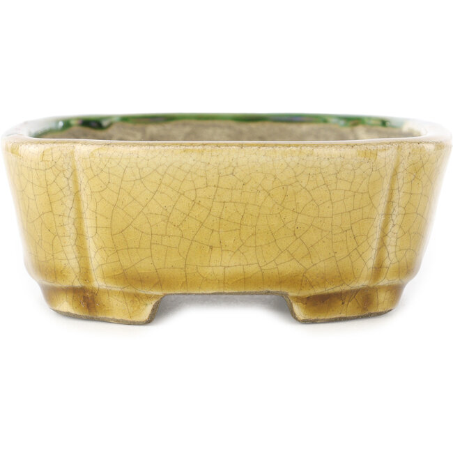 Ovale groen en gele bonsaipot van Terahata Satomi Mazan - 162 x 122 x 47 mm