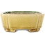 Pot à bonsaï ovale vert et jaune par Terahata Satomi Mazan - 162 x 122 x 47 mm