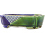 Oval blue and green bonsai pot by Terahata Satomi Mazan - 162 x 122 x 47 mm