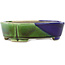 Pot à bonsaï ovale bleu et vert par Terahata Satomi Mazan - 162 x 122 x 47 mm