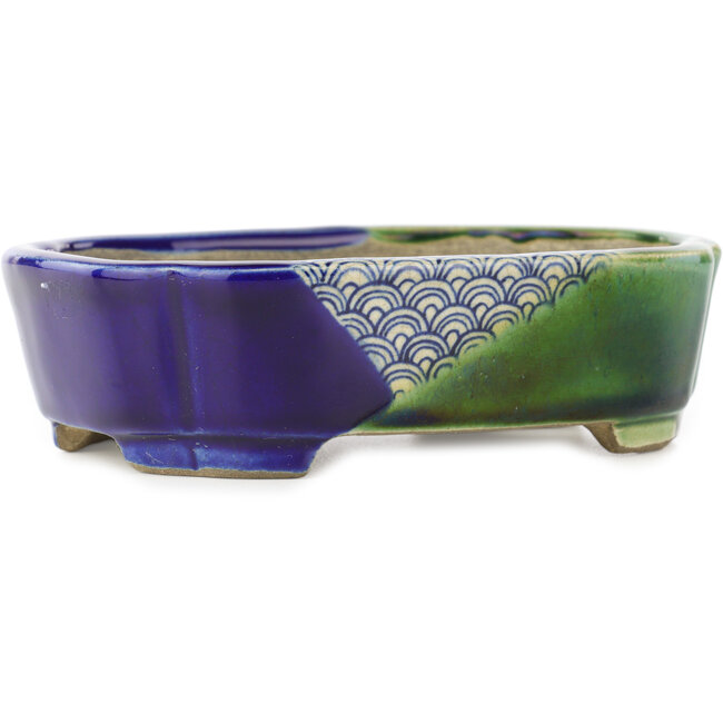 Vaso bonsai ovale blu e verde di Terahata Satomi Mazan - 162 x 122 x 47 mm