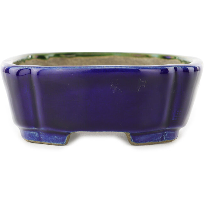 Oval green and blue bonsai pot by Terahata Satomi Mazan - 162 x 122 x 47 mm