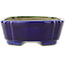 Pot à bonsaï ovale vert et bleu par Terahata Satomi Mazan - 162 x 122 x 47 mm