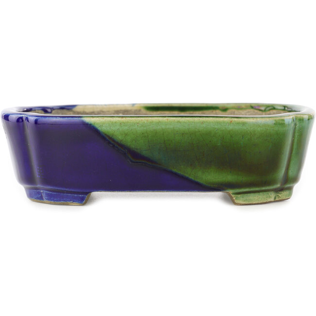 Vaso bonsai ovale verde e blu di Terahata Satomi Mazan - 162 x 122 x 47 mm