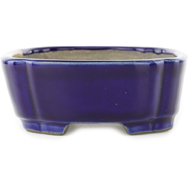 Oval blue bonsai pot by Terahata Satomi Mazan - 162 x 122 x 47 mm