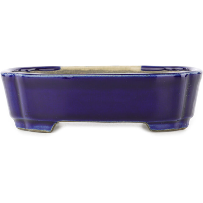 Pot à bonsaï ovale bleu par Terahata Satomi Mazan - 162 x 122 x 47 mm