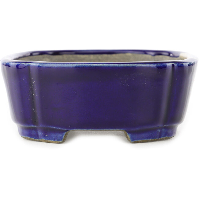 Pot à bonsaï ovale bleu par Terahata Satomi Mazan - 162 x 122 x 47 mm