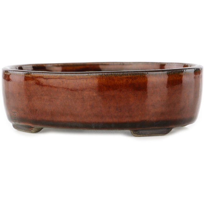Pot à bonsaï ovale marron par Terahata Satomi Mazan - 145 x 117 x 45 mm