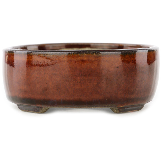 Vaso bonsai ovale marrone di Terahata Satomi Mazan - 145 x 117 x 45 mm