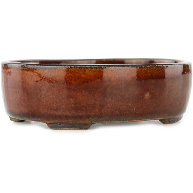 Vaso bonsai ovale marrone di Terahata Satomi Mazan - 145 x 117 x 45 mm