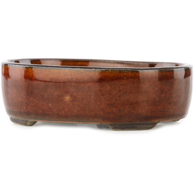 Oval brown bonsai pot by Terahata Satomi Mazan - 145 x 117 x 45 mm