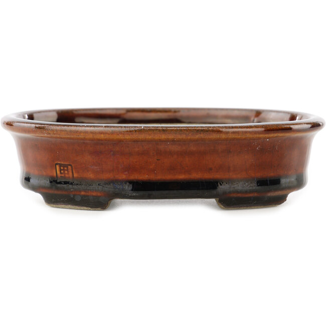 Maceta ovalada para bonsái marrón de Terahata Satomi Mazan - 140 x 115 x 35 mm