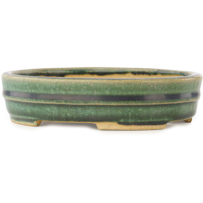 Vaso bonsai ovale verde di Shibakatsu - 153 x 127 x 37 mm