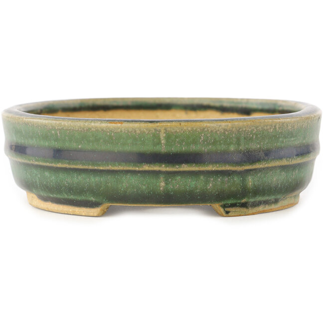 Maceta ovalada verde para bonsái de Shibakatsu - 153 x 127 x 37 mm