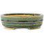 Pot à bonsaï ovale vert de Shibakatsu - 153 x 127 x 37 mm