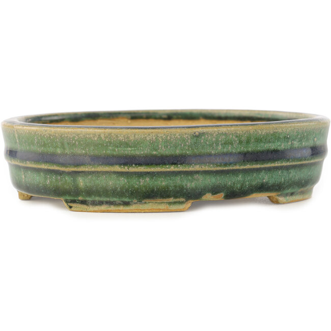 Maceta ovalada verde para bonsái de Shibakatsu - 153 x 127 x 37 mm