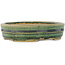 Pot à bonsaï ovale vert de Shibakatsu - 153 x 127 x 37 mm