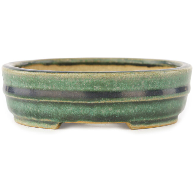 Maceta ovalada verde para bonsái de Shibakatsu - 153 x 127 x 37 mm