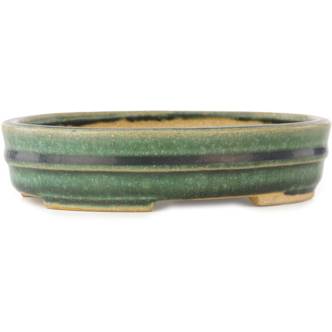Maceta ovalada verde para bonsái de Shibakatsu - 153 x 127 x 37 mm