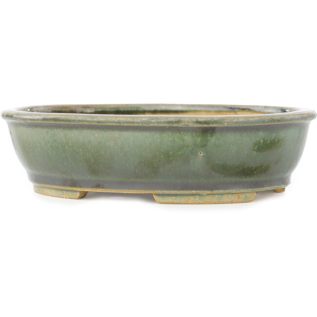 Pot à bonsaï ovale vert de Shibakatsu - 155 x 126 x 40 mm