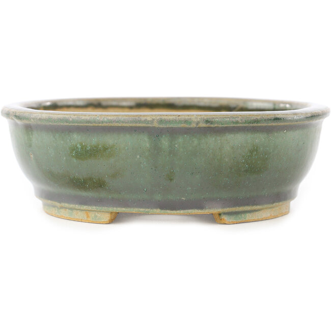 Maceta ovalada verde para bonsái de Shibakatsu - 155 x 126 x 40 mm