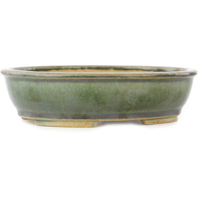 Oval green bonsai pot by Shibakatsu - 155 x 126 x 40 mm