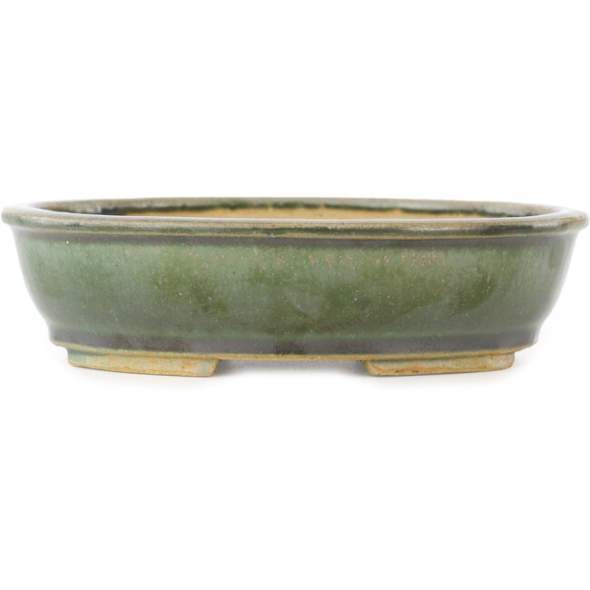 Pot à bonsaï ovale vert de Shibakatsu - 155 x 126 x 40 mm